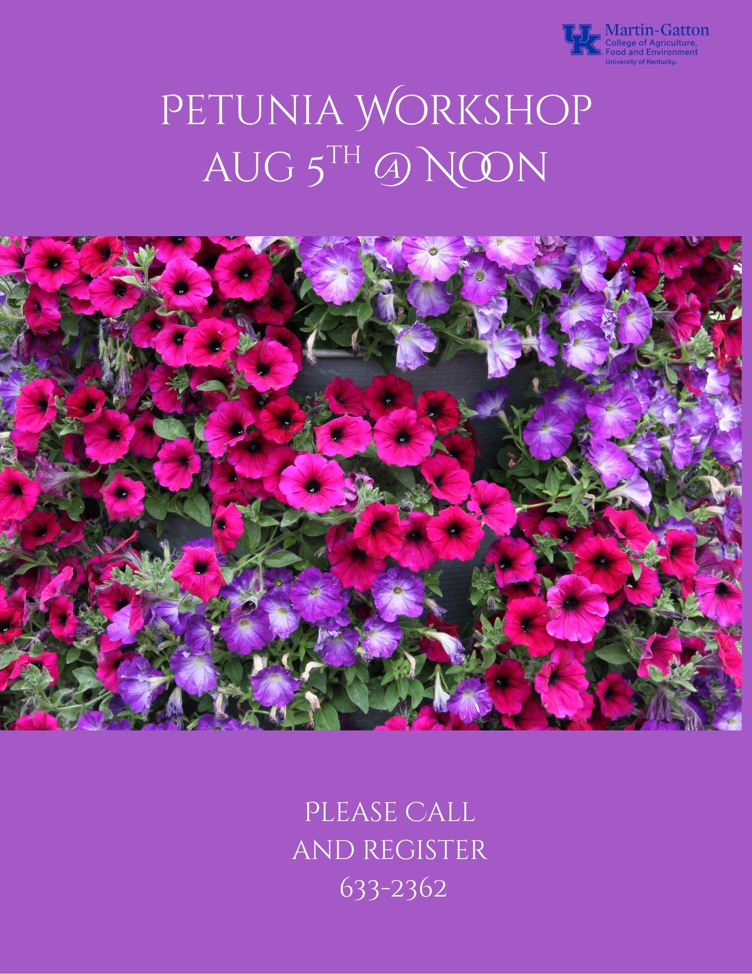 Petunia Workshop