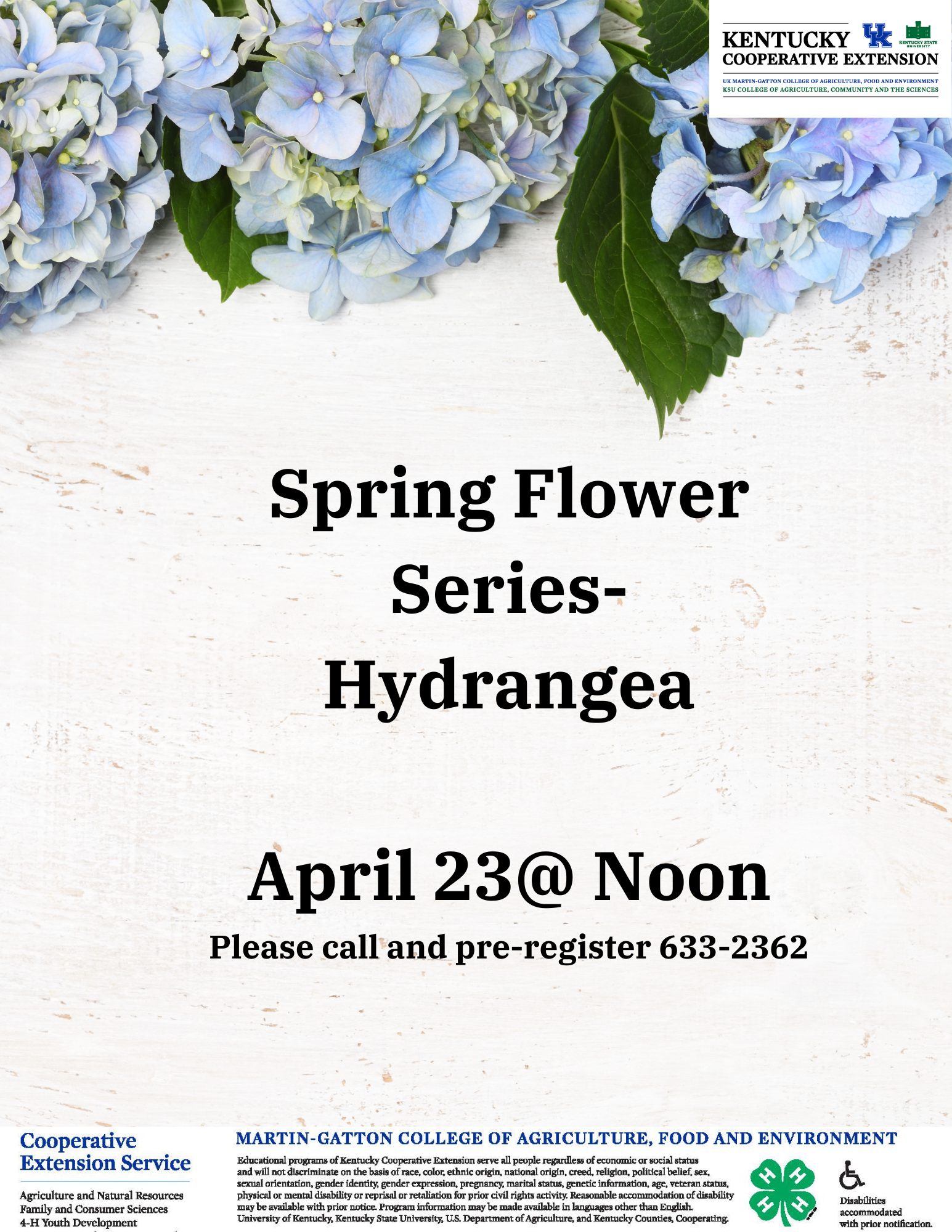 Spring Flowers Series-Hydrangea