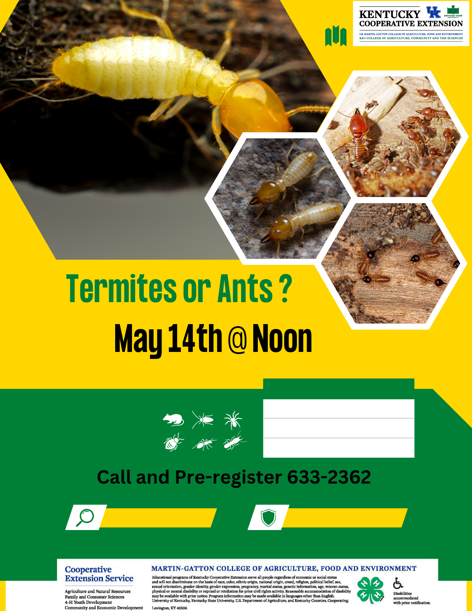 Termites or Ants