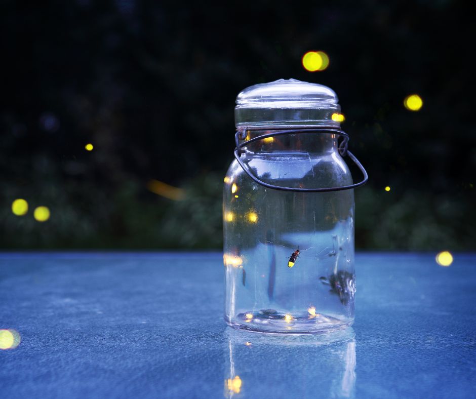 Lightening Bugs