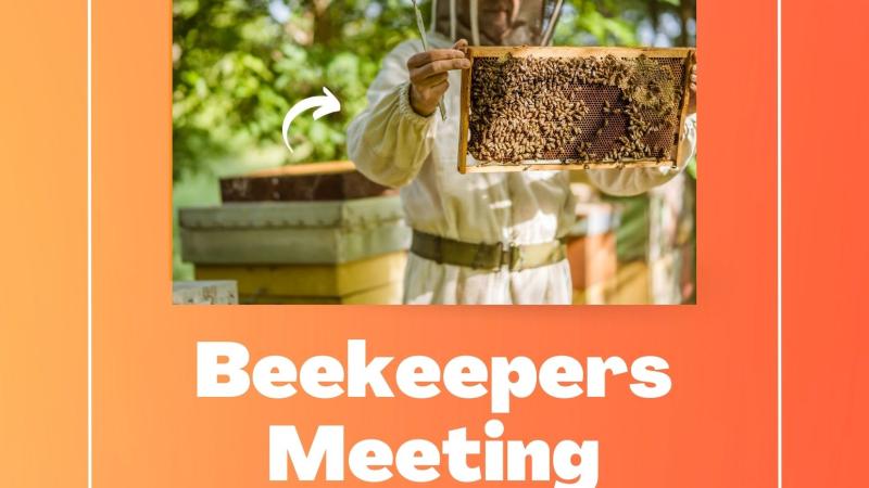 Beekeepers 