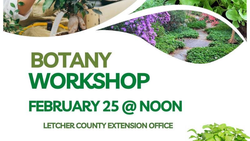 Botany Workshop