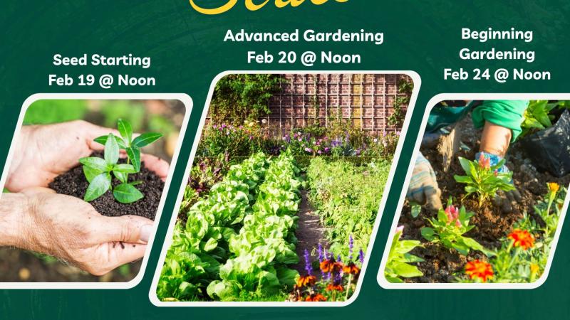 Gardening Series