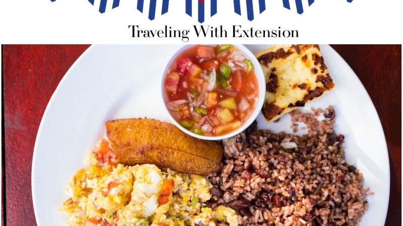 Traveling the World with Extension