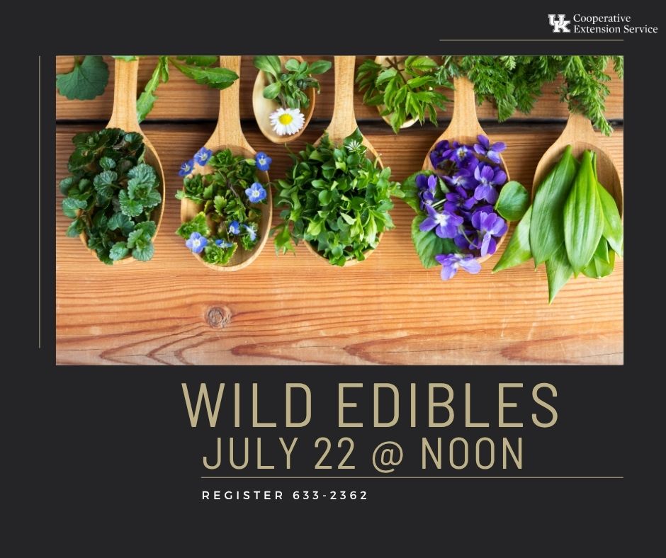 Wild Edibles Workshop
