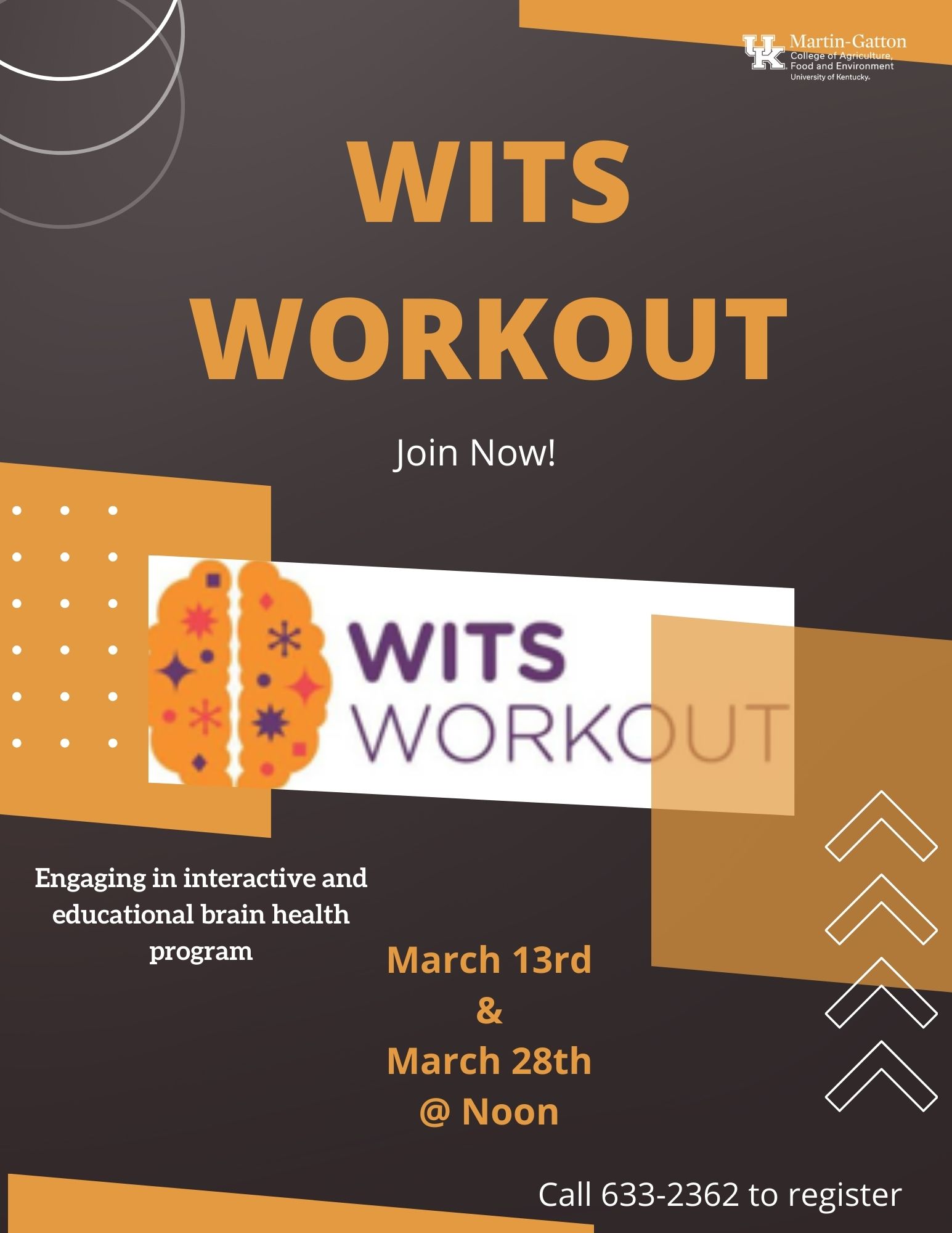 Wits Workout